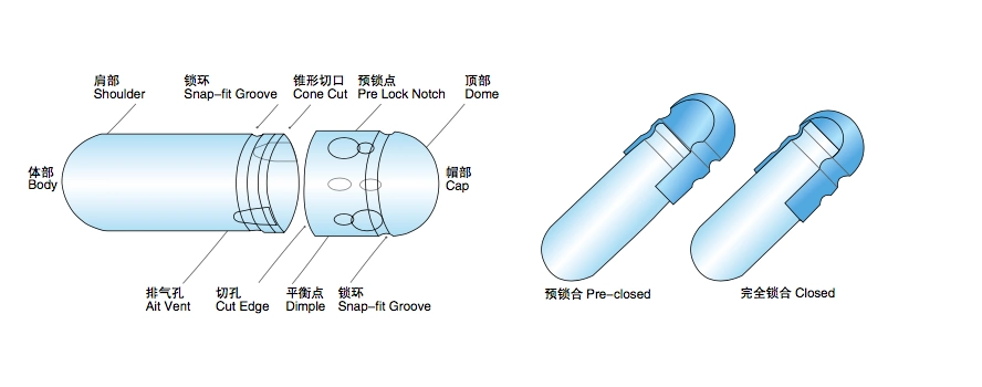 Empty Hard Gelatin Capsule in All Colors