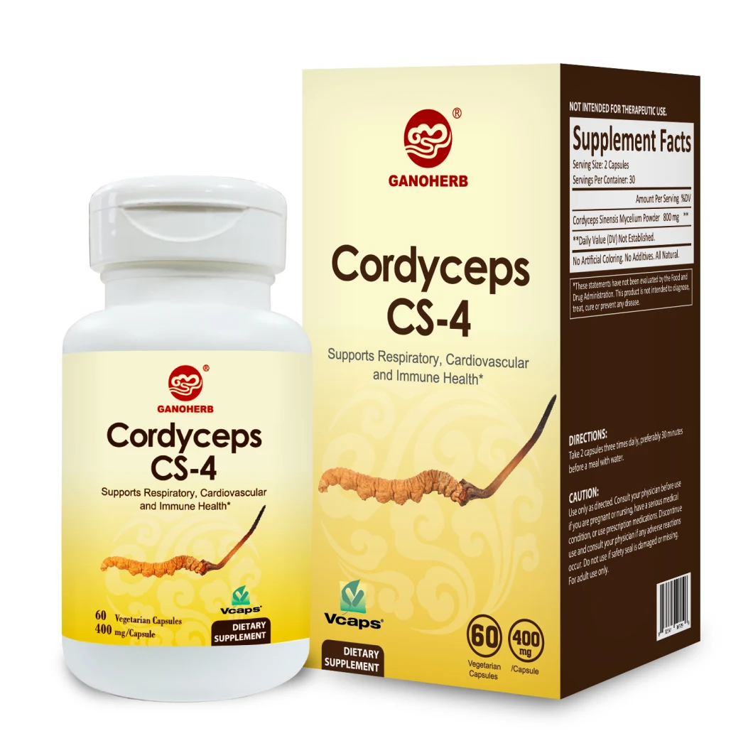 Cordyceps CS-4 800mg 60 Vegetarian Capsules (Non-GMO & Gluten Free) Sinensis Immunity Supplement Capsules Energy and Immune Health Support